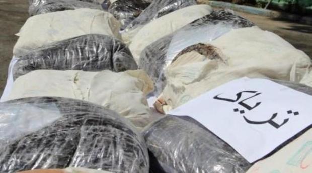 1.2تن تریاک در دیلم بوشهر کشف شد