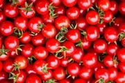 ۳ روش کاربردی برای فریز کردن گوجه فرنگی