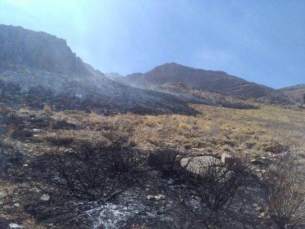 اکیپ های پیشگیری از آتش سوزی  منابع طبیعی کرمان فعال شد