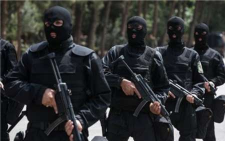 120 پلیس افتخاری در یگان ویژه استان کرمان فعالیت دارند