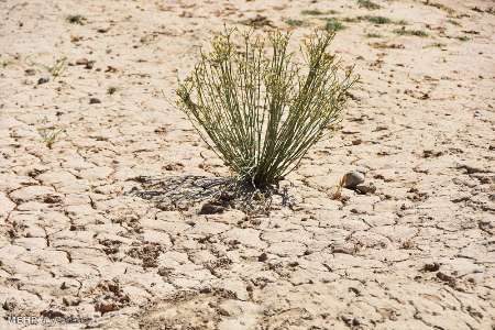 خشکسالی همچنان در جنوب کرمان پابرجاست