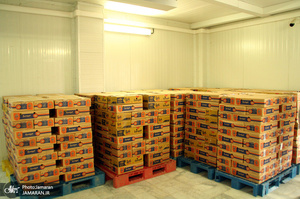 آماده‌سازی افطاری زائران مراسم سالگرد بزرگداشت امام خمینی(س) - اصفهان