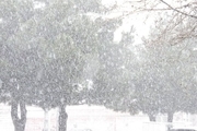 بارش اولین برف زمستانی در ارومیه   احتمال کاهش دما تا منفی ۶درجه