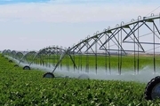 تجهیز 2 هزار هکتار از زمین های کشاورزی بروجرد به آبیاری نوین