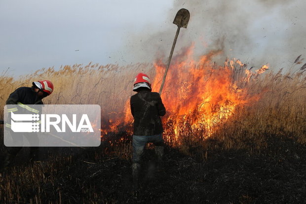 ۷۰ درصد آتش سوزی‌ها در قزوین از مزارع آغاز می‌شود