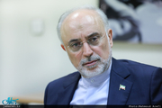 صالحی: انتظار ایران از انگلیس ایفای نقش موثر در نوسازی رآکتور اراک است