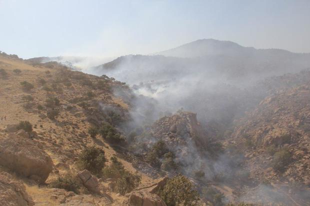 آتش سوزی زنجیره ای در جنگل های نوشهر