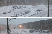 شدت بارش صبح امروز برف در سردشت   عکس