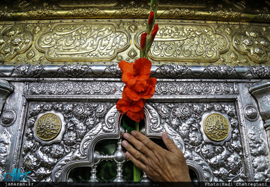 وصیت آیت الله قاضی به فرزندش