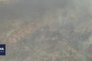 آتش سوزی در جنگل های کوه نیر