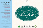 انتشار مجموعه کرونا روایت توسط انتشارات جهاد دانشگاهی علوم پزشکی تهران