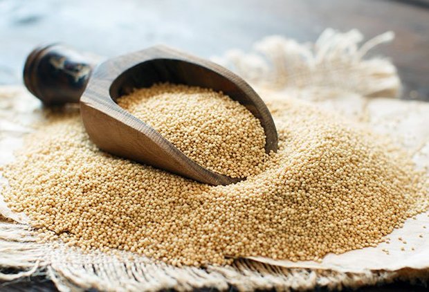 این گیاه 3 برابر شیر کلسیم دارد
