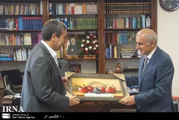 سفیر و هیات تجاری ارمنستان با استاندار بوشهر دیدار کرد