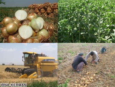 دفتر سازمان نظام مهندسی کشاورزی و منابع طبیعی جنوب کرمان راه اندازی شد