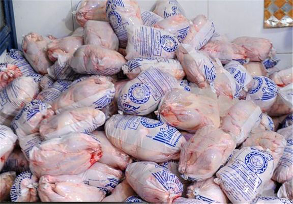 بیش از 10 تن مرغ فاسد در رشت امحاء شد