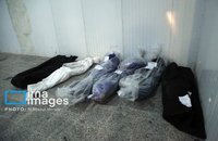 شناسایی شهدای دبستان میناب (5)