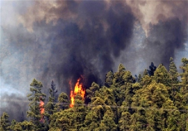 آتش‌سوزی در جنگل‌های تالش گیلان