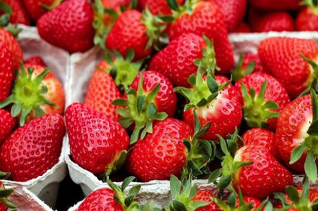 
رژیم غذایی مناسب فصل بهار