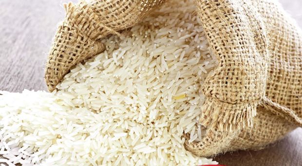 حدود یک و نیم میلیون تن شالی برنج در مازندران تولید شد