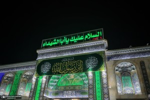 شب میلاد امام دضا (ع) در کربلا