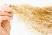  ۶ روش خانگی برای مراقبت از مو‌های آسیب دیده
