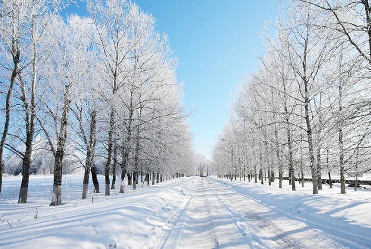 باورهای غلط انسان ها درمورد زمستان