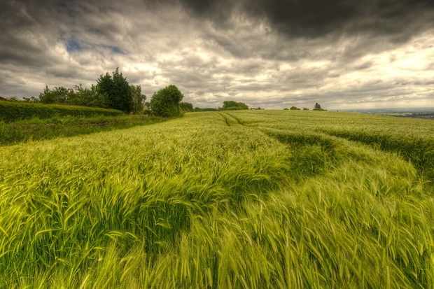 کشاورزان کهگیلویه و بویراحمد مواظب هوای روزهای آینده باشند