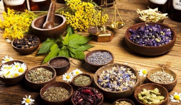 بستر صادرات گیاهان دارویی در اروزئیه فراهم شود