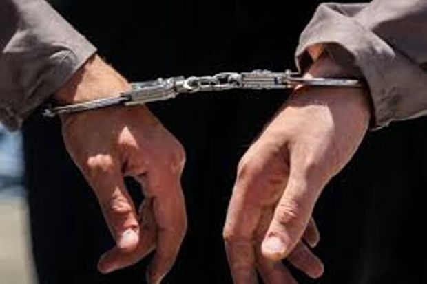 زوج سارق با ۱۰۵ فقره سرقت در دامغان دستگیر شدند