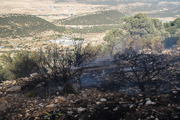 آتش سوزی به مراتع قرق شده ستاد احیای دریاچه ارومیه 3 میلیارد ریال خسارت زد