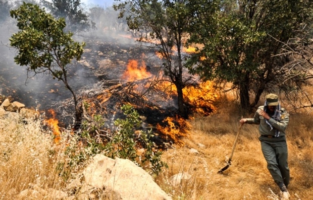 دامنه آتش سوزی در جنگل های ملکشاهی در حال گسترش است