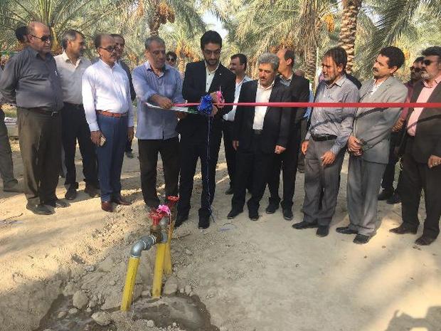 یک هزار هکتار از زمینهای کشاورزی شهرستان تنگستان بوشهر زیرپوشش طرح آبیاری تحت فشار قرار گرفت