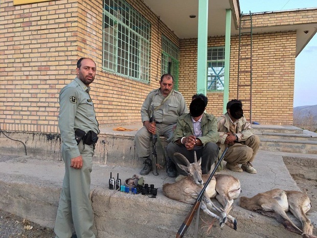 دستگیری شکارچیان میش و بره وحشی در تندوره درگز