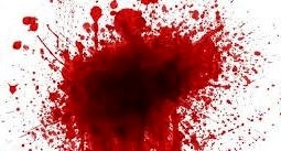قتل مادر توسط فرزند جوان با شلیک گلوله در گیلان
