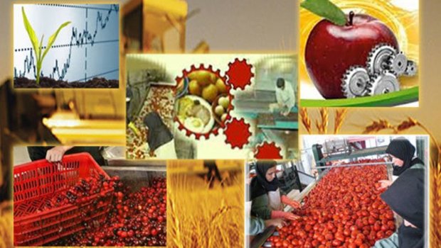 108 طرح کشاورزی در استان اردبیل اجرا می شود