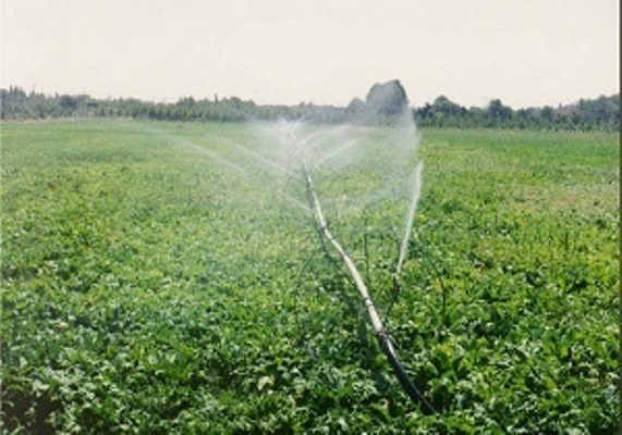 3500هزارهکتاراز اراضی زراعی بروجرد به سیستم آبیاری تحت فشارتجهیز شده اند