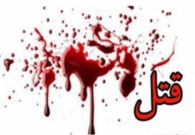 نوجوان 'کبوترباز' همسایه‌اش را کشت