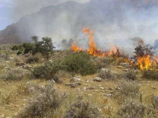 50درصد عملیات اطفا حریق درزنجان مربوط به آتش سوزی علفهای هرز و ضایعات بوده است