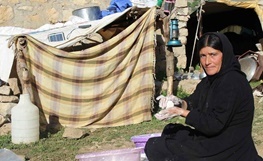 عشایر آذربایجان غربی، امسال بیش از ۵۰۰ میلیارد ریال متضرر شدند