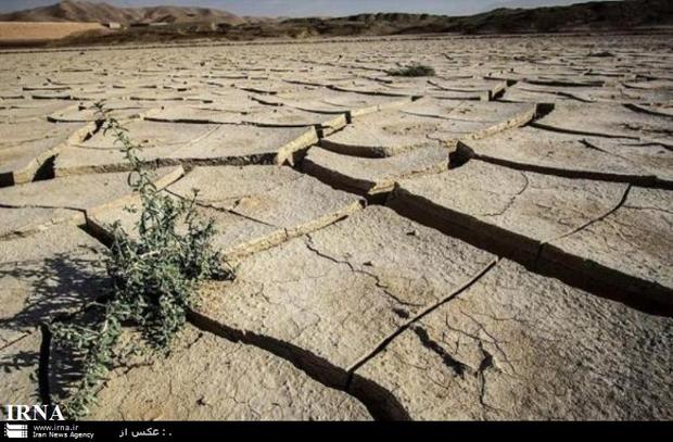 خشکسالی مانع کشت پاییزه در زابل شد