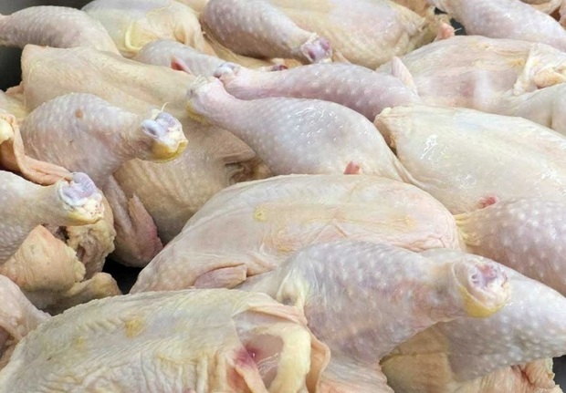 کاهش قیمت مرغ در مازندران