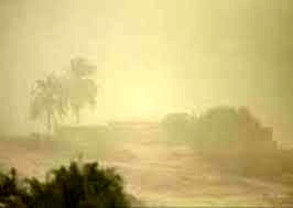 هوای شرجی و رطوبت 95 درصدی در بوشهر