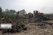 حوادث جوی ۵۰ میلیارد ریال به کشاورزی کرمان خسارت زد