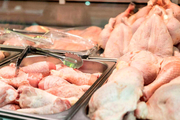 کاهش قیمت مرغ در سومین هفته مرداد 1402