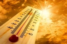 پیش‌بینی دمای 50 درجه در استان بوشهر  توصیه به شهروندان برای جلوگیری از گرمازدگی