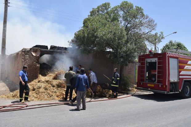 140 راس گوسفند در روستای گلمندره شهرستان گرمه در آتش سوخت