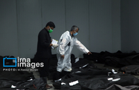 شناسایی شهدای دبستان میناب (39)