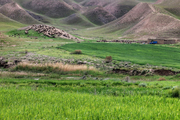 حدود مرزی روستاهای پشته و خراجیان را مدیران سیاسی کردستان و کرمانشاه تعیین می‌کنند