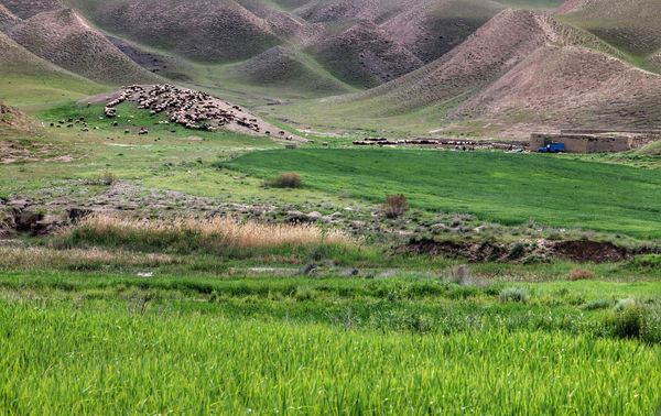 حدود مرزی روستاهای پشته و خراجیان را مدیران سیاسی کردستان و کرمانشاه تعیین می‌کنند