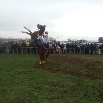 جشنواره اسب‌ های بومی در مشگین ‌شهر برگزار شد